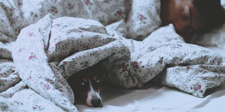 Ученые выяснили, почему и медленный, и быстрый сон так важны для обучения