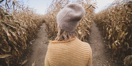 Новое исследование автора "Фрикономики": как принимать решения, чтобы стать счастливее