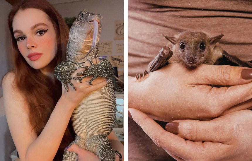 Лана Кин. «Ты же любишь задохликов. Хочешь?»: монолог хозяйки нескольких десятков варанов, рукокрылых и многоножек