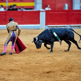 В Мехико запретили традиционную корриду