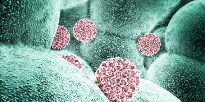 Анализ на ВПЧ стал бесплатным для россиянок по ОМС: зачем он нужен, что выявляет и где его сдать