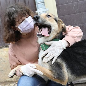 Самозанятый, волонтер и тиктокер: какие навыки и профессии россияне хотели освоить в 2020 году