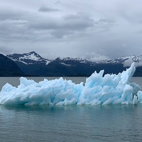 Курс дня: как подготовиться к климатическим изменениям и начать действовать