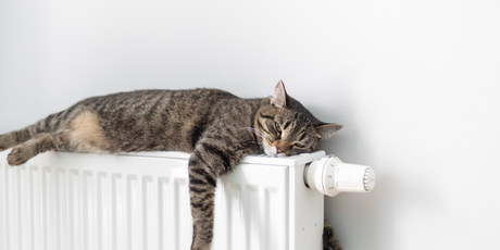 С 1 марта начнут действовать новые правила оплаты отопления