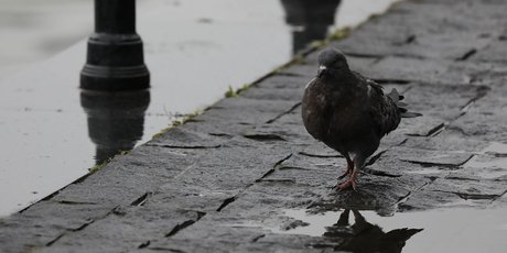 В июне банкротами признали рекордное количество россиян – почти 11,5 тысяч человек
