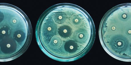 Правда ли, что антибиотики перестанут работать к 2050 году