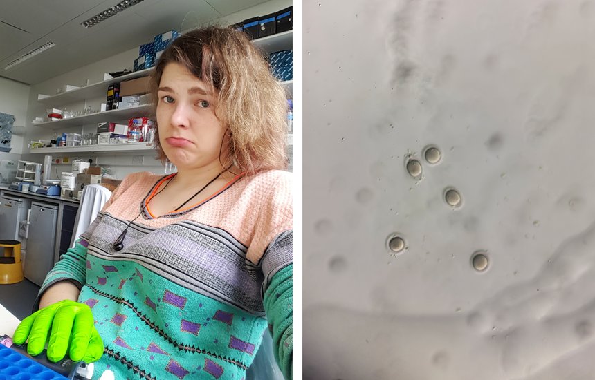 Личный архив Дарьи Свистуновой