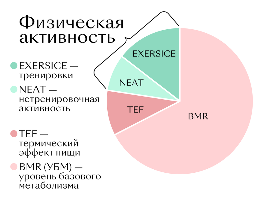 Отрицательная калорийность продуктов - разбираемся в тренде