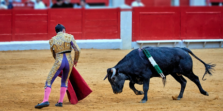 В Мехико запретили традиционную корриду