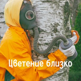17 мемов про весеннюю аллергию — для всех, кто устал чихать и кашлять от пыльцы