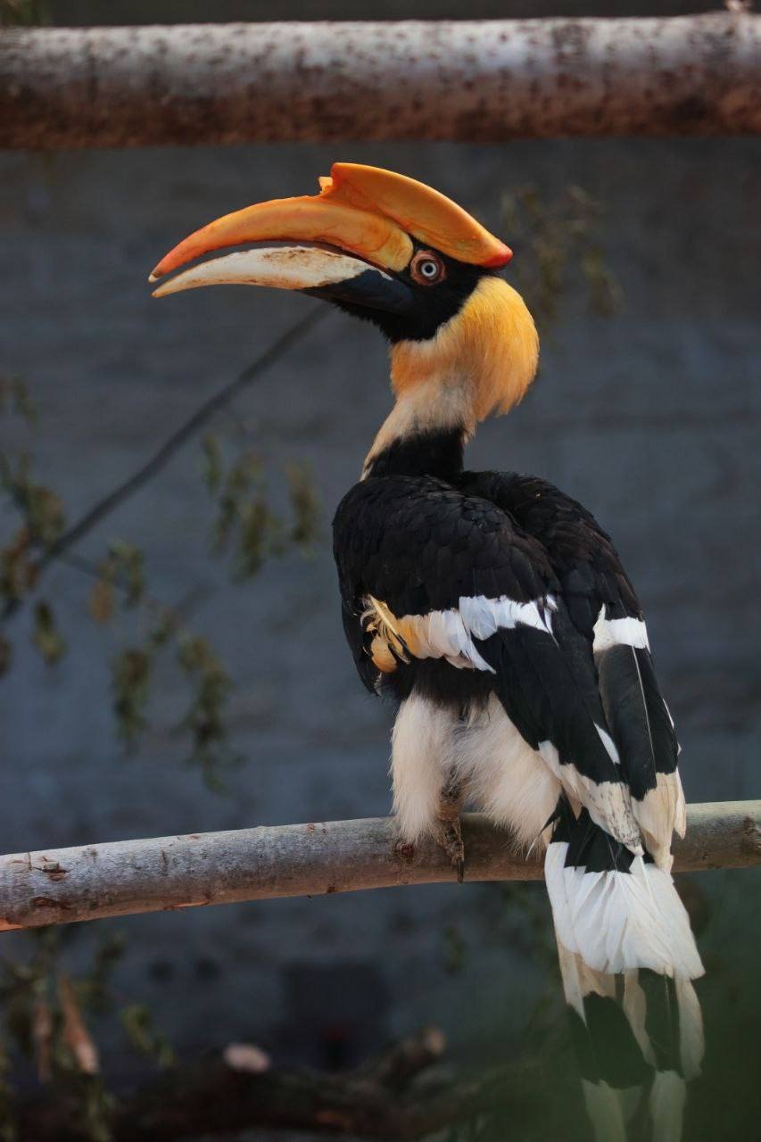 Осторожно новости