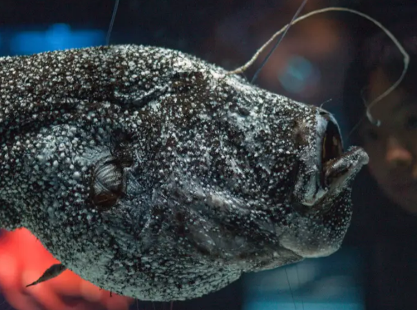 Reuters/Victor Fraile (China)