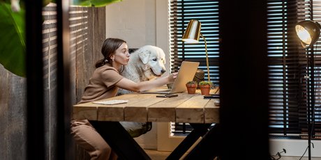 "Дог френдли": как привести собаку в офис, чтобы всем было комфортно