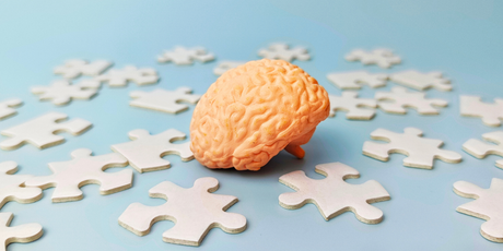 Американские ученые создали мини-мозг человека