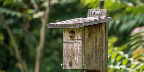 Ссыльные коронавируса. Как получить максимум пользы от работы из дома и не чувствовать себя в изоляции