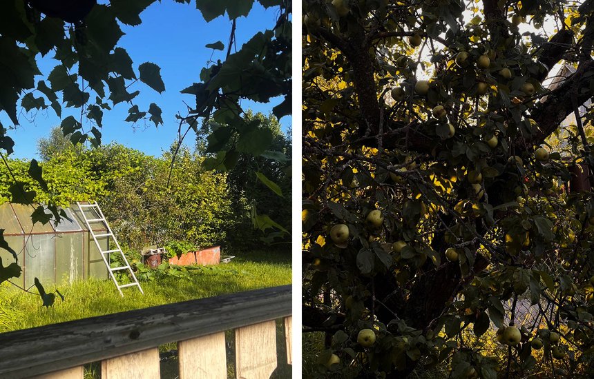 Елизавета Ямшанова / Цех