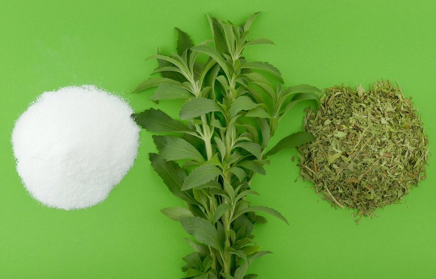 Стевия в порошковом, свежем и высушенном виде