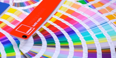 Весь мир — цвет. Главные идеи книги «История пантона. XX век в цвете»