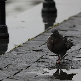 В июне банкротами признали рекордное количество россиян – почти 11,5 тысяч человек