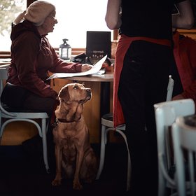 Страшная сила: людям не нравится, когда официанты и продавцы красивее их