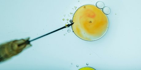 «Говорят, что мы играем в Бога, но это не так»: молодая эмбриолог — об искусственном оплодотворении людей и рыб