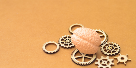 Австралийские ученые создали микрочип из 200 000 живых нейронов человеческого мозга и научили его играть в компьютерную игру