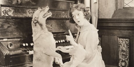 Как научиться чему угодно — 5 эффективных правил