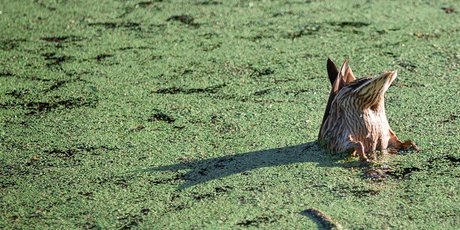 Великие тоже ошибаются. 10 здоровых способов справиться с неудачей. Советы от психотерапевта