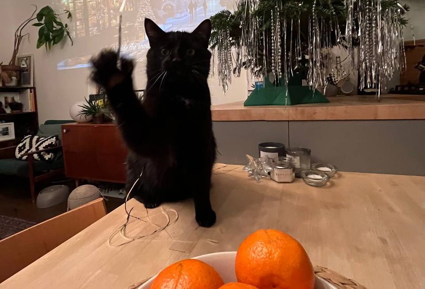 Личный архив ИРИНЫ