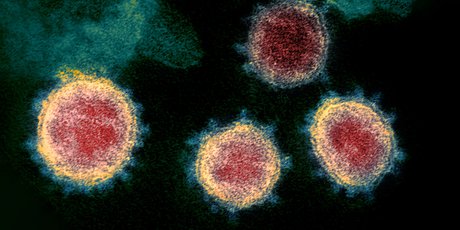 Курс дня: эпидемиология в борьбе с коронавирусом от университета Джонса Хопкинса