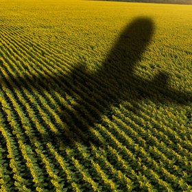 119 млн рублей — такую сумму ущерба требуют взыскать с пилота, посадившего самолет в поле