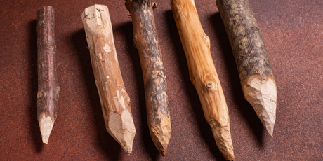 Спрос на осиновые колья в России вырос в четыре раза