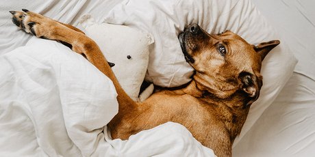 Семь утренних ошибок, которые портят ваш день, а может быть и жизнь