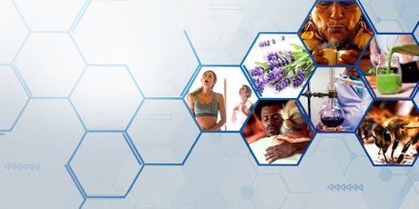 Забота о себе или обман? Как эфирные масла, тантра и пчелы диктуют тренды wellness-индустрии