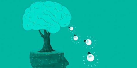 Как обмануть мозг и заставить его учиться