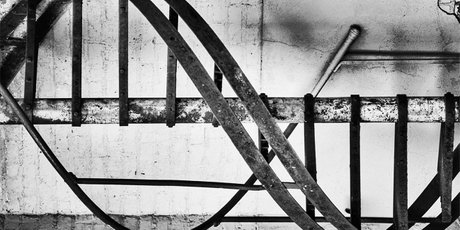 Как выиграть в споре с расистом: 14 аргументов от ученого-генетика