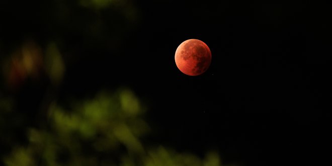 Как увидеть кровавую Луну, Венеру и Меркурий в марте 2026 года