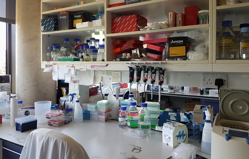 Личный архив Дарьи Свистуновой