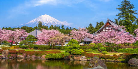 Японский парк размером с четыре листа бумаги А4 признан самым маленьким в мире