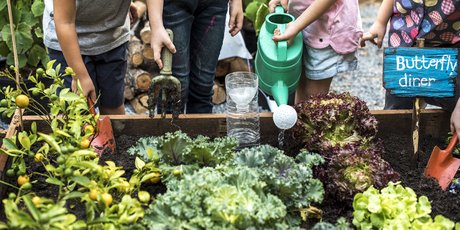 Фраза на миллион: как написать текст для успешного краудфандинга