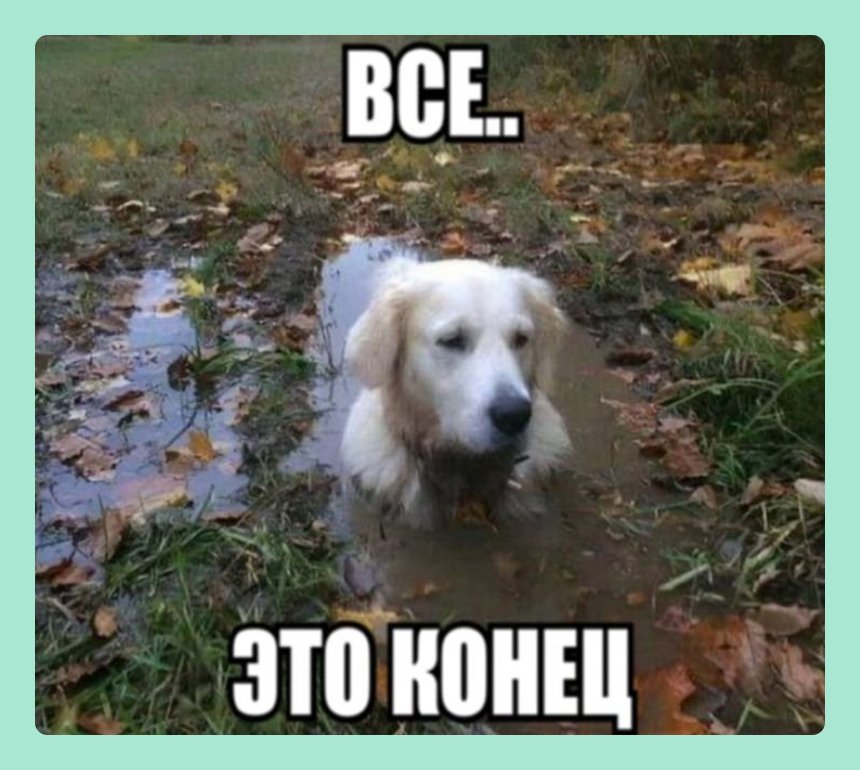 16 мемов про жизнь без интернета — для всех, кто с трудом пережил отключение сети. Природа настолько очистилась, что в Москве отключили интернет