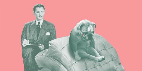 «Я пообщалась с псом, и он рассказал мне на ушко обо всем, что его бесит». Кто такие зоопсихологи и где на них учиться